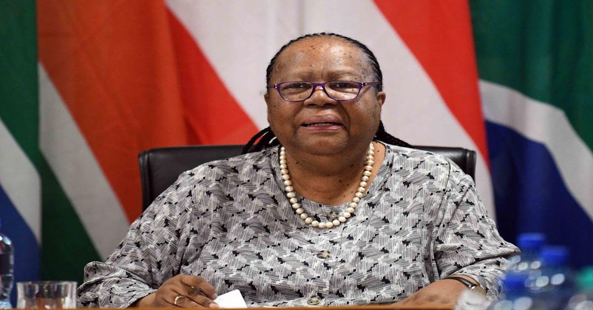 Naledi Pandor bolsters security amid ICJ Israel genocide case threats