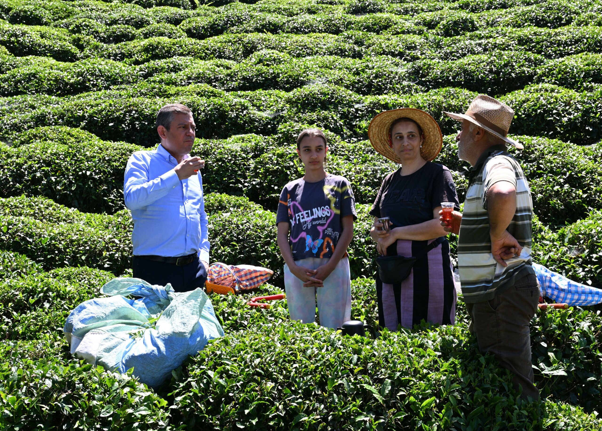 Türkiye's main opposition party aims at mobilizing tea producers, but why?